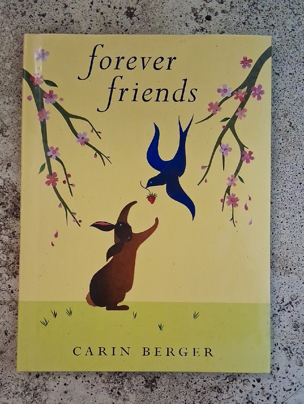 Forever Friends by Carin Berger Children's Picture Book Daycare Preschool